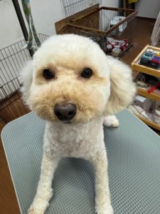 6d382006-99a9-448f-abb0-1e847c1c3674