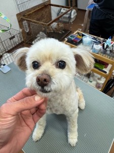 6d382006-99a9-448f-abb0-1e847c1c3674