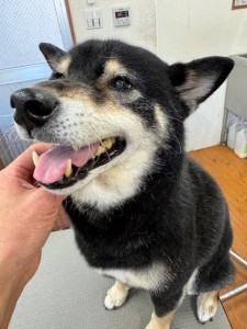 6d382006-99a9-448f-abb0-1e847c1c3674