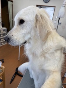 6d382006-99a9-448f-abb0-1e847c1c3674