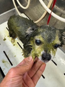 6d382006-99a9-448f-abb0-1e847c1c3674