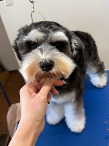 6d382006-99a9-448f-abb0-1e847c1c3674