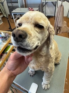 6d382006-99a9-448f-abb0-1e847c1c3674