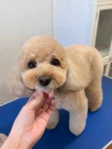 6d382006-99a9-448f-abb0-1e847c1c3674