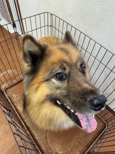 6d382006-99a9-448f-abb0-1e847c1c3674