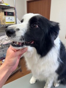 6d382006-99a9-448f-abb0-1e847c1c3674