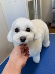 6d382006-99a9-448f-abb0-1e847c1c3674