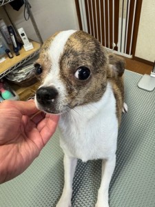 6d382006-99a9-448f-abb0-1e847c1c3674