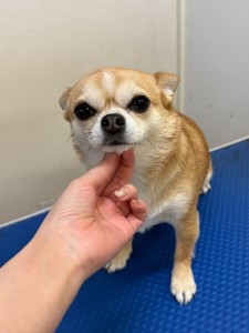 6d382006-99a9-448f-abb0-1e847c1c3674