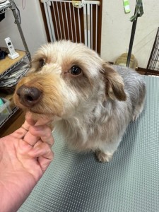 6d382006-99a9-448f-abb0-1e847c1c3674