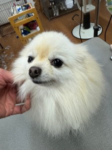 6d382006-99a9-448f-abb0-1e847c1c3674