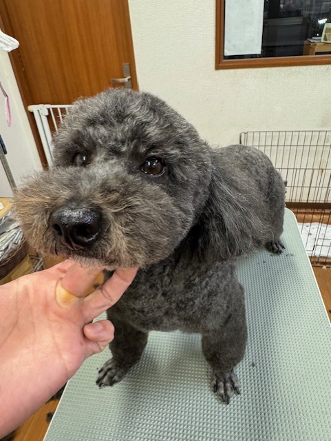 6d382006-99a9-448f-abb0-1e847c1c3674