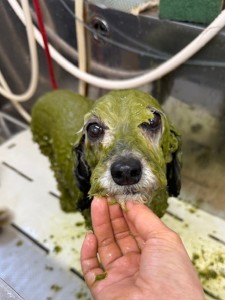 6d382006-99a9-448f-abb0-1e847c1c3674