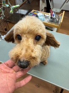 6d382006-99a9-448f-abb0-1e847c1c3674