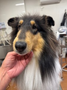 6d382006-99a9-448f-abb0-1e847c1c3674