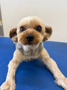 6d382006-99a9-448f-abb0-1e847c1c3674