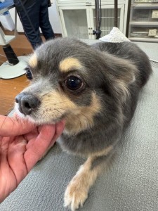 6d382006-99a9-448f-abb0-1e847c1c3674