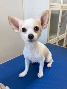 6d382006-99a9-448f-abb0-1e847c1c3674