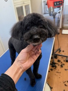 6d382006-99a9-448f-abb0-1e847c1c3674