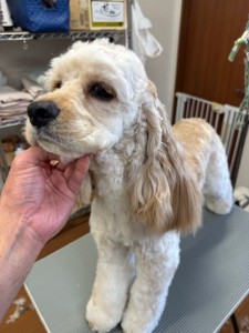 6d382006-99a9-448f-abb0-1e847c1c3674