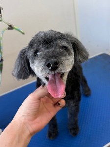 6d382006-99a9-448f-abb0-1e847c1c3674