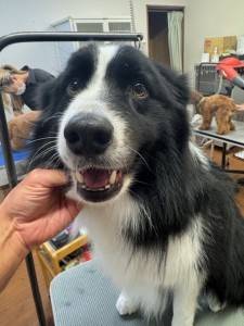 6d382006-99a9-448f-abb0-1e847c1c3674