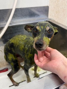 6d382006-99a9-448f-abb0-1e847c1c3674