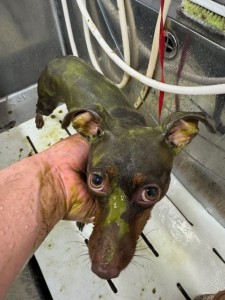 77638c59-899c-4d39-aaf7-6e776c626890