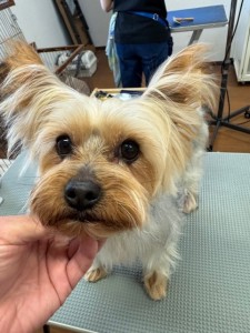 77638c59-899c-4d39-aaf7-6e776c626890