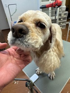 ea5ddba5-6aed-406b-8cb9-8c2451b17e85