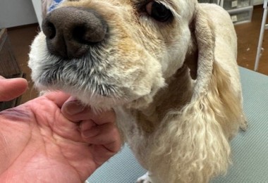 ea5ddba5-6aed-406b-8cb9-8c2451b17e85